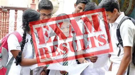 Ordinary Level Exam 2018 results released .